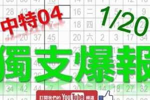 1月20日 六合彩爆報 上期中特04 獨支爆報 鎖定孤支 版路