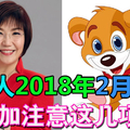 属狗人2018年2月运势不错