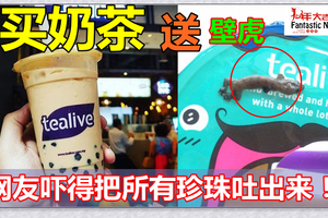 网友买tealive饮料竟然喝到“超大只壁虎”，吓得把所有珍珠吐出来！