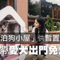 【影片】紐約「泊狗小屋」供暫置所　飼主帶愛犬出門免煩惱