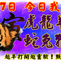 2月27日，今日我最旺！虎龍羊馬蛇兔猴豬！【55588】 越早打開越靈驗！點個贊吧！