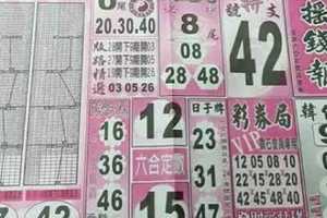 2017/12/24香港六合彩參考用全分享3(玄天上帝靈數,香港九九快報,財經,搖錢報,福多寶,龍華彩報)