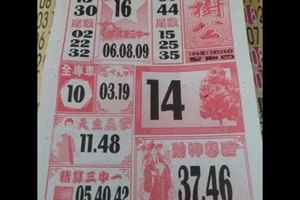 2017/12/28香港六合彩參考用全分享9(三星王,千禧,大發廣告,大樹公,中國少年民報,中國新聞報)