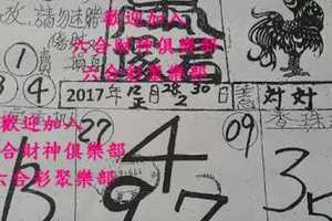 2018/01/02香港六合彩參考用全分享1(北港武爵宮,白小姐,李府大元帥,武玄宮,武德武兌宮,蛇仙娘娘降示,聖濟宮,...