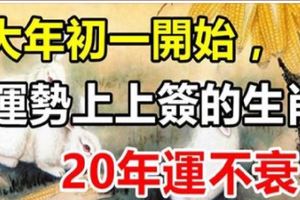 大年初一起，3生肖運勢上上簽，鴻運當頭，大財「砸」身要發財！& 12號到1月底好運勢不可擋，事事如意，橫財穩賺，...