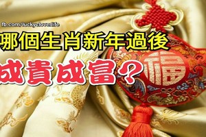 哪個生肖新年過後能夠成貴成富？