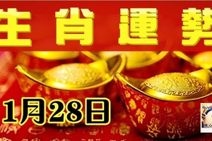 1月28日生肖運勢分析，月末衝刺能賺大錢，渡過難關生意興隆！