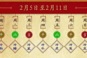 十二生肖每週運勢播報（2月5日—2月11日）