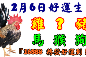 2月6日好運生肖，五福臨門接財神！【雞+？+豬+馬+猴+狗】『上榜請留言16888 轉發好運到！』  