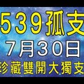 【今彩539】7月30日『珍藏雙開大獨支！』上期中31 獨門拖牌號碼！專業教學