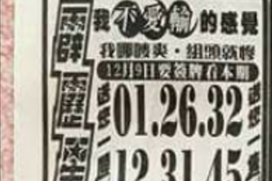 12/9霹靂星港號參考。祝進財財