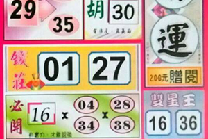 2/11財運，精選版路，港號參考。