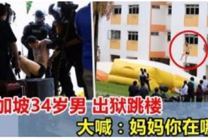 新加坡34歲男出獄找不到媽媽，組屋5樓跳下！鄰居：「也不問清楚，白跳了！」