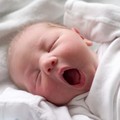 嬰幼兒不自己睡覺 媽媽如何協助寶寶？