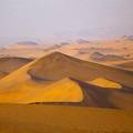 中國又一「沙漠」逐漸消失，耗時67年，人進沙退變綠洲