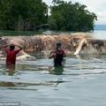 印尼小島海灘 神祕海洋生物屍體染紅大海