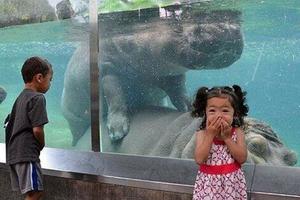 18張讓大家看了會驚慌失色的「失控的動物園一日遊」照片