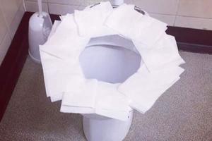 科學分析《如何安心在外面上廁所》是墊衛生紙還是......