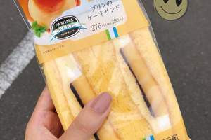 日本全家新推《布丁蛋糕三明治》甜點迷大絕讚的話題新商品