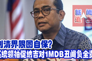 划清界限图自保？ 巫统领袖促纳吉对1MDB丑闻负全责！