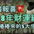 喜鵲報喜！ 2018年財運纏身，喜事樁樁來的5大生肖女！