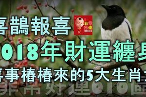 喜鵲報喜！ 2018年財運纏身，喜事樁樁來的5大生肖女！