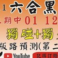 (六合黑貓)1/11(四)參考-精準獨支+獨碰[上期中 01 12 21]六合彩預測版路(第二版)