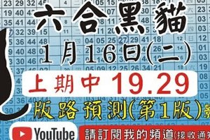 錄影版[上期中 19 29]六合黑貓(1月16號)六合彩版路號碼預測(第1版)#香港六合彩版路