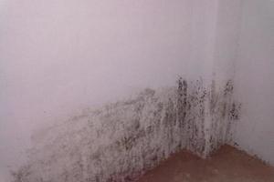 一旦家裡發黴牆壁變髒了，以下這種辦法，可以讓你家煥然一新！