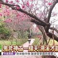 南投一線天秘境 吸遊客觀賞