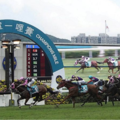 香港賭馬贏4億！ 玩家神隱17年終現身