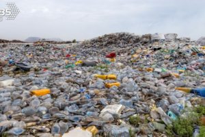 陸拒收洋垃圾！7個月4萬貨櫃塞爆台灣 回收體系恐崩潰