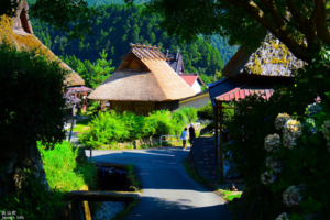 【日本京都】日本三大合掌村之一，鄉村秘境，世外桃源，美不勝收。美山茅草屋之里
