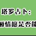 朵朵塔羅占卜|你的一廂情願能打動他嗎?太准了!