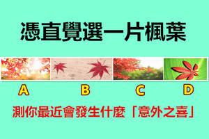 憑直覺選一片楓葉，測你最近會發生什麼「意外之喜」 