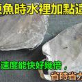 解凍魚時水裡加點「這個」，凍魚解凍速度能快好幾倍，省時省力還殺菌！