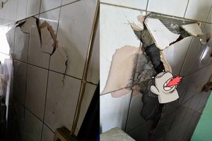 鄰居整修房子「撞破我家牆壁」 網友笑翻：鑿壁偷光啦