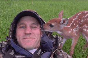 這男生在後院撿到一隻受傷的小鹿，把她放生多次她卻不斷跑回來，結果。。。