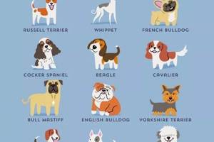 畫家筆下的192種外國名犬，有你家的寶貝嗎？