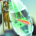 中國觀光景點熱賣《活體鑰匙圈》小動物在套塑膠包裝裡活不過３天！