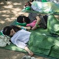 世界最大的睡覺比賽上線啦！首爾森林8500人搶躺地，最晚起就冠軍  