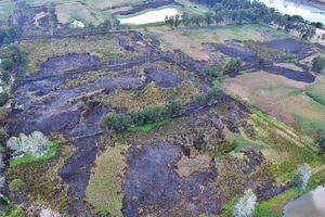 南生圍最新高空照曝光　火劫後變「黑色森林」