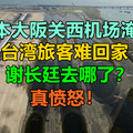 日本大阪关西机场淹水，台湾旅客难回家，谢长廷去哪了？