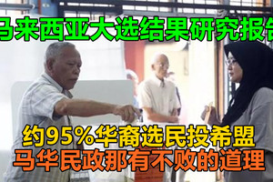 马来西亚大选结果研究报告：约95%华裔选民投希盟，马华民政那有不败的道理