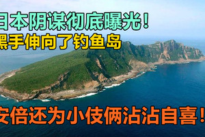 日本阴谋彻底曝光！黑手伸向了钓鱼岛，安倍还为小伎俩沾沾自喜！