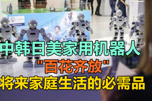 中韩日美家用机器人“百花齐放” ，将来家庭生活的必需品