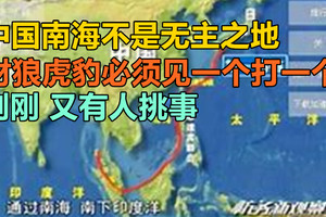 中国南海不是无主之地，豺狼虎豹必须见一个打一个！刚刚，又有人挑事