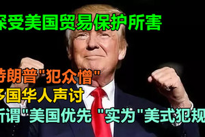 深受美国贸易保护所害，多国华人声讨：所谓“美国优先”，实为“美式犯规”,特朗普"犯众憎"