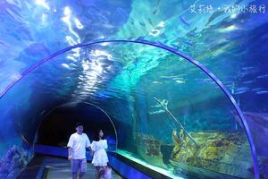 【韓國釜山】SEA LIFE釜山水族館，潛入神秘的海底世界！