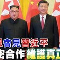 金正恩會見習近平 願緊密合作 維護真正和平